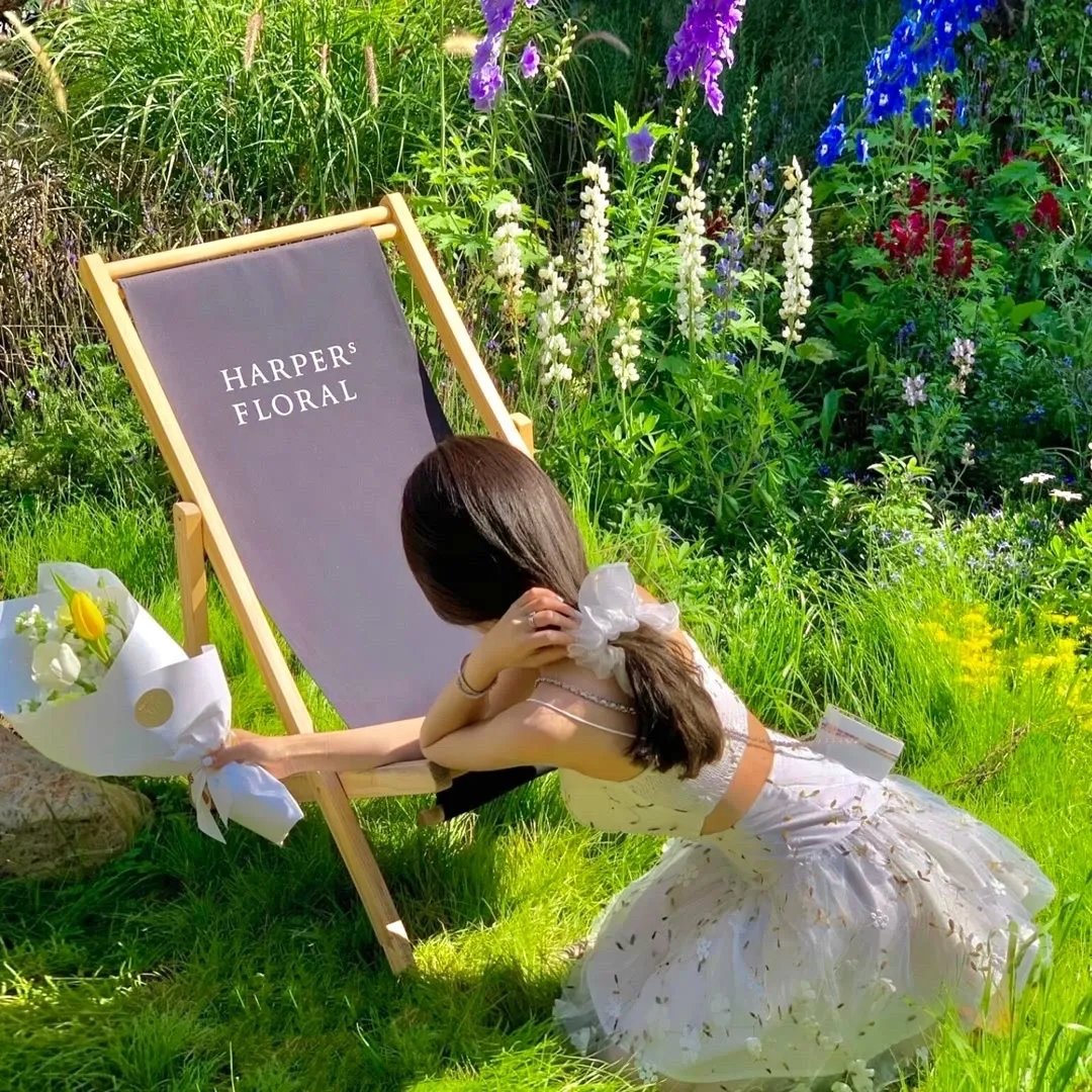 幕后枭雄第二季